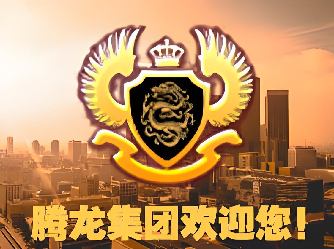 腾龙集团风采